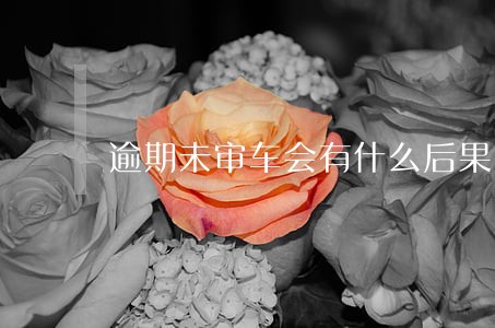 逾期未审车会有什么后果 逾期未审车会有什么后果