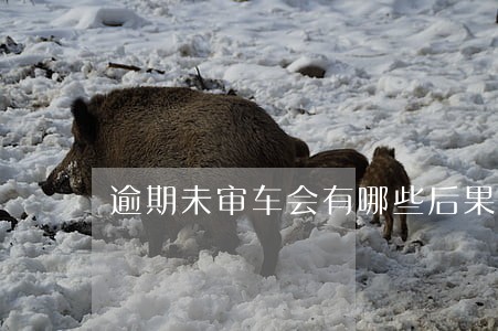 逾期未审车会有哪些后果 逾期未审车会有哪些后果