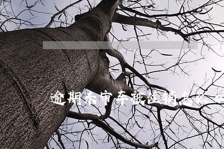 逾期未审车被注销怎么办 逾期未审车被注销怎么办