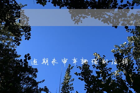 逾期未审车辆强制注销 逾期未审车辆强制注销