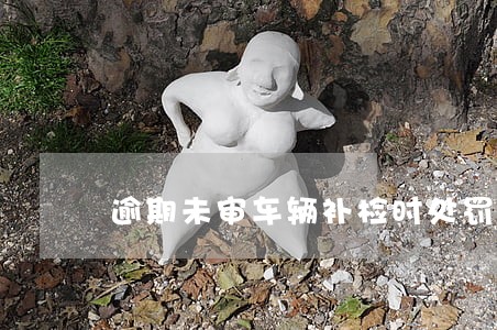 逾期未审车辆补检时处罚标准 逾期未审车辆补检时处罚标准