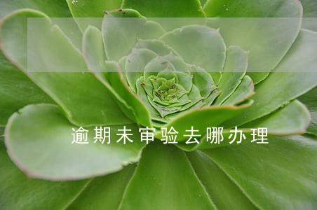 逾期未审验去哪办理 逾期未审验去哪办理
