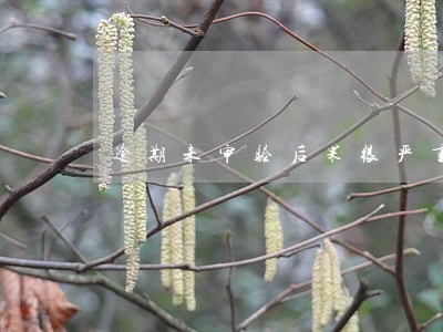 逾期未审验后果很严重 逾期未审验后果很严重
