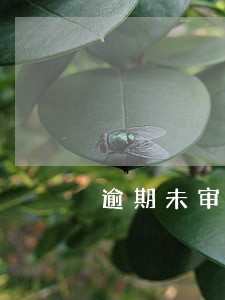 逾期未审验哪里查询 逾期未审验哪里查询