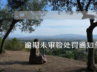 逾期未审验处罚通知单 逾期未审验处罚通知单