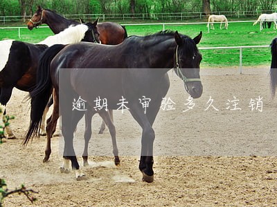 逾期未审验多久注销 逾期未审验多久注销