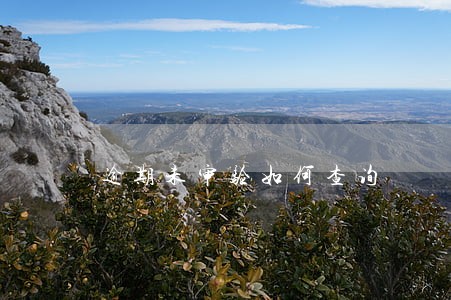 逾期未审验如何查询 逾期未审验如何查询