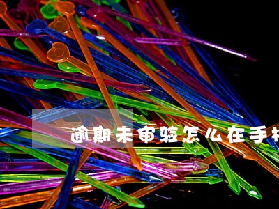 逾期未审验怎么在手机上办理 逾期未审验怎么在手机上办理