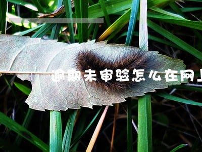 逾期未审验怎么在网上审验 逾期未审验怎么在网上审验