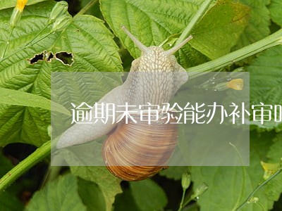 逾期未审验能办补审吗