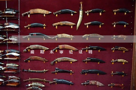 逾期未审验证明