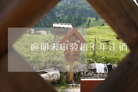 逾期未审验超3年注销 逾期未审验超3年注销