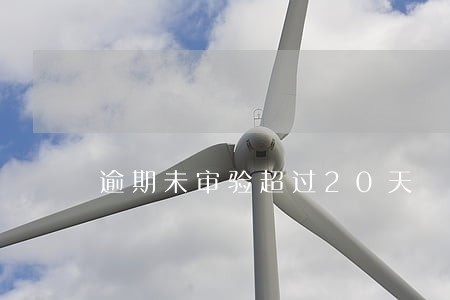 逾期未审验超过20天 逾期未审验超过20天
