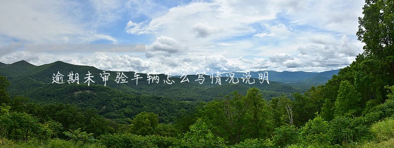 逾期未审验车辆怎么写情况说明 逾期未审验车辆怎么写情况说明