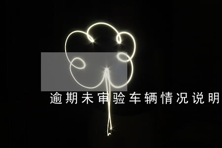 逾期未审验车辆情况说明 逾期未审验车辆情况说明