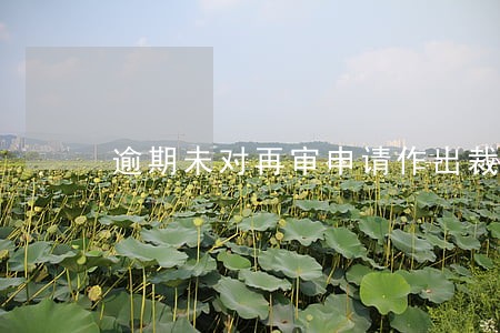 逾期未对再审申请作出裁定