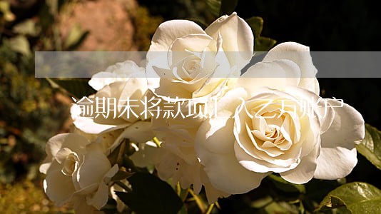 逾期未将款项汇入乙方账户 逾期未将款项汇入乙方账户