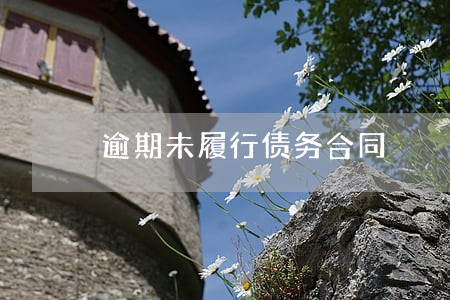 逾期未履行债务合同