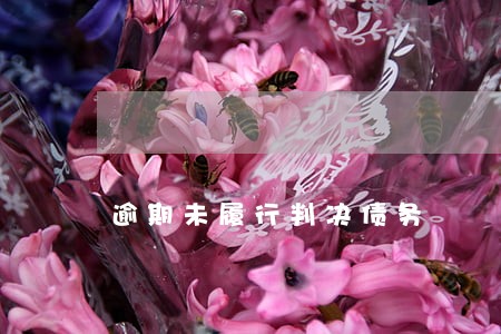 逾期未履行判决债务 逾期未履行判决债务