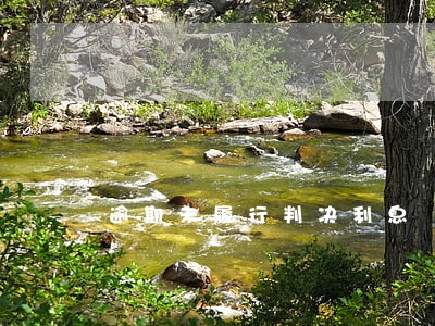 逾期未履行判决利息 逾期未履行判决利息