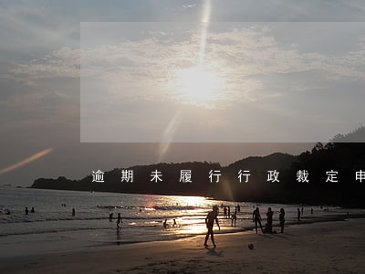 逾期未履行行政裁定申请执行 逾期未履行行政裁定申请执行