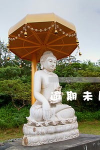 逾期未履行赔偿金 逾期未履行赔偿金