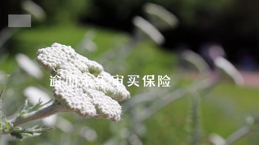 逾期未年审买保险 逾期未年审买保险