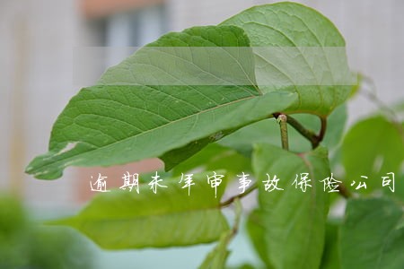 逾期未年审事故保险公司协商 逾期未年审事故保险公司协商