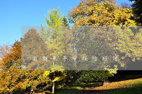 逾期未年审保险赔付