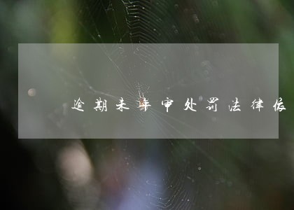 逾期未年审处罚法律依据 逾期未年审处罚法律依据