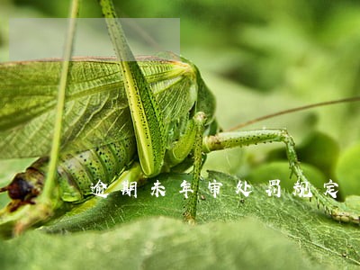 逾期未年审处罚规定 逾期未年审处罚规定