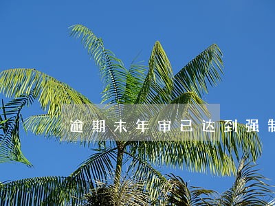 逾期未年审已达到强制报废标准 逾期未年审已达到强制报废标准