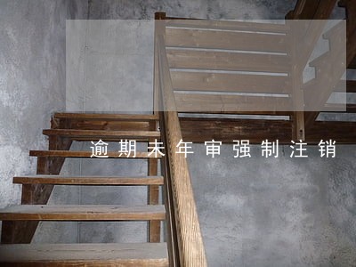 逾期未年审强制注销 逾期未年审强制注销