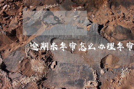 逾期未年审怎么办理年审业务 逾期未年审怎么办理年审业务
