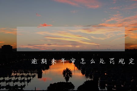 逾期未年审怎么处罚规定 逾期未年审怎么处罚规定
