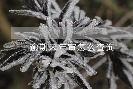 逾期未年审怎么查询 逾期未年审怎么查询