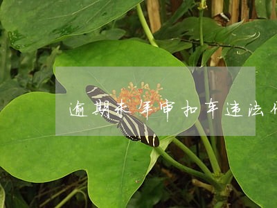 逾期未年审扣车违法代码 逾期未年审扣车违法代码