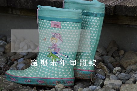 逾期未年审罚款 逾期未年审罚款