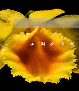 逾期未年审罚款500 逾期未年审罚款500