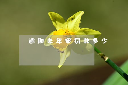 逾期未年审罚款多少 逾期未年审罚款多少