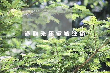 逾期未年审被注销 逾期未年审被注销