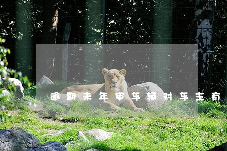 逾期未年审车辆对车主有何影响 逾期未年审车辆对车主有何影响