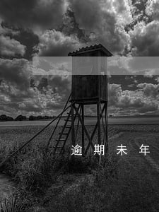 逾期未年报公司说明书 逾期未年报公司说明书
