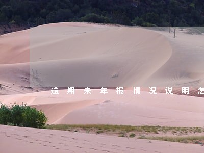 逾期未年报情况说明怎么写 逾期未年报情况说明怎么写