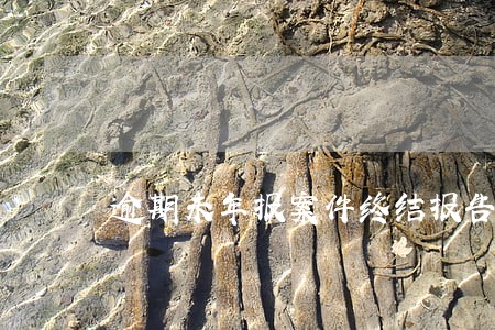 逾期未年报案件终结报告 逾期未年报案件终结报告