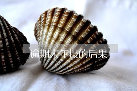 逾期未年报的后果 逾期未年报的后果