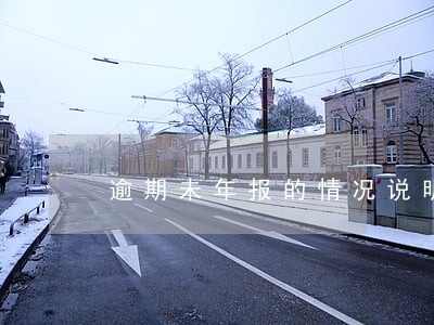 逾期未年报的情况说明 逾期未年报的情况说明