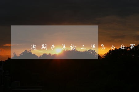 逾期未年检三年怎么处罚