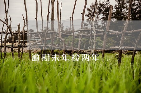 逾期未年检两年