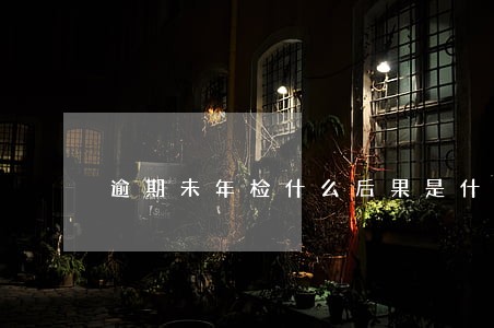 逾期未年检什么后果是什么 逾期未年检什么后果是什么